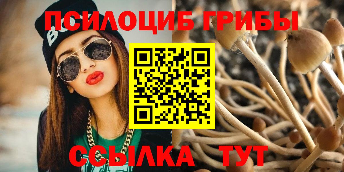 Галлюциногенные грибы MAGIC MUSHROOMS Новый Уренгой
